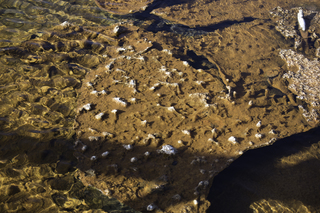 Filename=DSC_1409.jpg
Filesize=21266KiB
Dimensions=7360x4912
Date added=Sep 21, 2019 DSC_1409.jpg