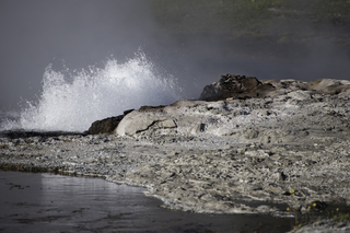 Filename=DSC_1411.jpg
Filesize=19060KiB
Dimensions=7360x4912
Date added=Sep 21, 2019 DSC_1411.jpg