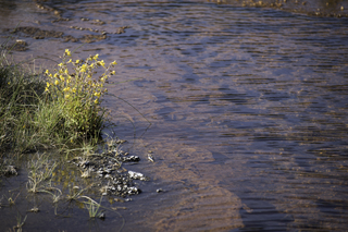 Filename=DSC_1413.jpg
Filesize=19684KiB
Dimensions=7360x4912
Date added=Sep 21, 2019 DSC_1413.jpg