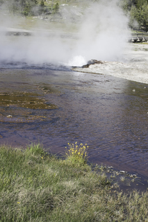 Filename=DSC_1416.jpg
Filesize=27132KiB
Dimensions=4912x7360
Date added=Sep 21, 2019 DSC_1416.jpg