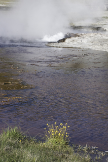 Filename=DSC_1417.jpg
Filesize=26664KiB
Dimensions=4912x7360
Date added=Sep 21, 2019 DSC_1417.jpg