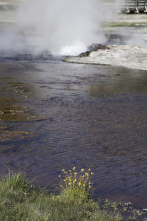 Filename=DSC_1418.jpg
Filesize=27007KiB
Dimensions=4912x7360
Date added=Sep 21, 2019 DSC_1418.jpg