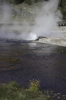 Filename=DSC_1419.jpg
Filesize=22534KiB
Dimensions=4912x7360
Date added=Sep 21, 2019 DSC_1419.jpg