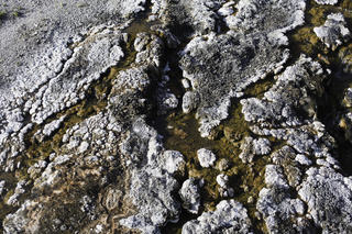 Filename=DSC_1430.jpg
Filesize=27751KiB
Dimensions=7360x4912
Date added=Sep 21, 2019 DSC_1430.jpg