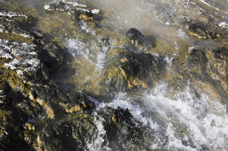 Filename=DSC_1434.jpg
Filesize=21736KiB
Dimensions=7360x4912
Date added=Sep 21, 2019 DSC_1434.jpg