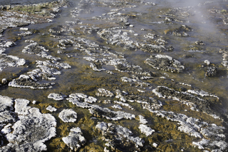 Filename=DSC_1435.jpg
Filesize=22603KiB
Dimensions=7360x4912
Date added=Sep 21, 2019 DSC_1435.jpg