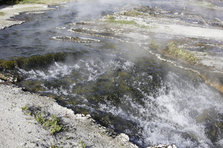 Filename=DSC_1445.jpg
Filesize=23544KiB
Dimensions=7360x4912
Date added=Sep 21, 2019 DSC_1445.jpg