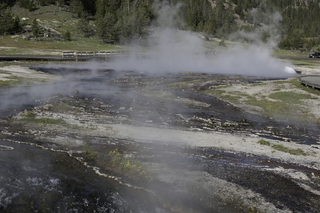 Filename=DSC_1447.jpg
Filesize=20428KiB
Dimensions=7360x4912
Date added=Sep 21, 2019 DSC_1447.jpg