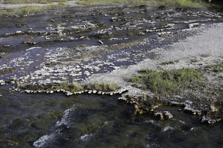 Filename=DSC_1448.jpg
Filesize=24142KiB
Dimensions=7360x4912
Date added=Sep 21, 2019 DSC_1448.jpg