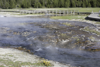 Filename=DSC_1453.jpg
Filesize=22794KiB
Dimensions=7360x4912
Date added=Sep 21, 2019 DSC_1453.jpg