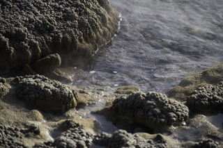 Filename=DSC_1460.jpg
Filesize=17630KiB
Dimensions=7360x4912
Date added=Sep 21, 2019 DSC_1460.jpg