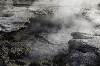 Filename=DSC_1463.jpg
Filesize=19786KiB
Dimensions=7360x4912
Date added=Sep 21, 2019 DSC_1463.jpg