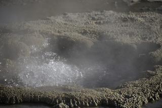 Filename=DSC_1464.jpg
Filesize=15340KiB
Dimensions=7360x4912
Date added=Sep 21, 2019 DSC_1464.jpg