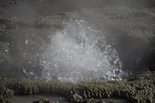 Filename=DSC_1465.jpg
Filesize=14397KiB
Dimensions=7360x4912
Date added=Sep 21, 2019 DSC_1465.jpg