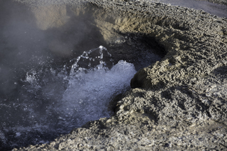 Filename=DSC_1467.jpg
Filesize=18564KiB
Dimensions=7360x4912
Date added=Sep 21, 2019 DSC_1467.jpg