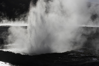 Filename=DSC_1470.jpg
Filesize=14834KiB
Dimensions=7360x4912
Date added=Sep 21, 2019 DSC_1470.jpg