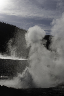 Filename=DSC_1481.jpg
Filesize=19644KiB
Dimensions=4912x7360
Date added=Sep 21, 2019 DSC_1481.jpg