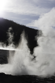 Filename=DSC_1484.jpg
Filesize=15164KiB
Dimensions=4912x7360
Date added=Sep 21, 2019 DSC_1484.jpg