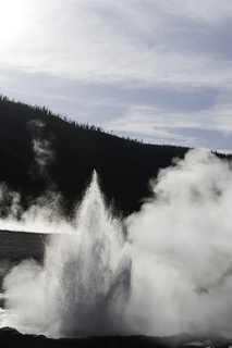 Filename=DSC_1486.jpg
Filesize=13124KiB
Dimensions=4912x7360
Date added=Sep 21, 2019 DSC_1486.jpg