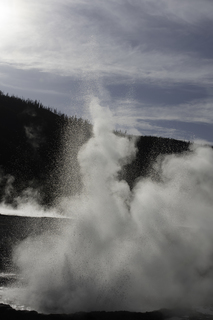 Filename=DSC_1488.jpg
Filesize=20490KiB
Dimensions=4912x7360
Date added=Sep 21, 2019 DSC_1488.jpg