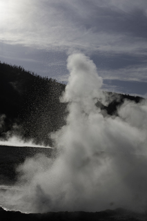 Filename=DSC_1490.jpg
Filesize=16699KiB
Dimensions=4912x7360
Date added=Sep 21, 2019 DSC_1490.jpg