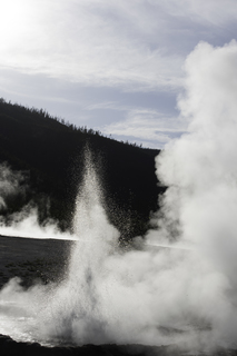 Filename=DSC_1491.jpg
Filesize=13935KiB
Dimensions=4912x7360
Date added=Sep 21, 2019 DSC_1491.jpg