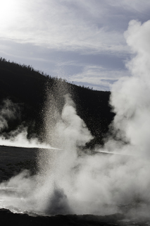 Filename=DSC_1492.jpg
Filesize=16285KiB
Dimensions=4912x7360
Date added=Sep 21, 2019 DSC_1492.jpg