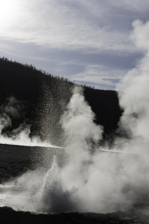 Filename=DSC_1493.jpg
Filesize=16212KiB
Dimensions=4912x7360
Date added=Sep 21, 2019 DSC_1493.jpg