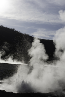 Filename=DSC_1494.jpg
Filesize=15216KiB
Dimensions=4912x7360
Date added=Sep 21, 2019 DSC_1494.jpg