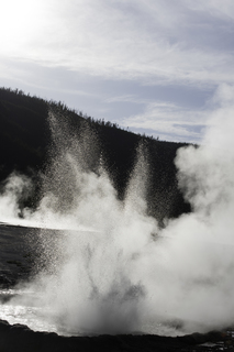 Filename=DSC_1495.jpg
Filesize=17996KiB
Dimensions=4912x7360
Date added=Sep 21, 2019 DSC_1495.jpg