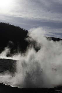 Filename=DSC_1497.jpg
Filesize=15659KiB
Dimensions=4912x7360
Date added=Sep 21, 2019 DSC_1497.jpg