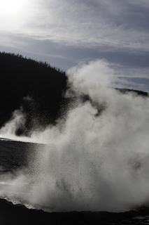 Filename=DSC_1498.jpg
Filesize=16473KiB
Dimensions=4912x7360
Date added=Sep 21, 2019 DSC_1498.jpg