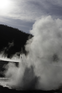 Filename=DSC_1499.jpg
Filesize=14857KiB
Dimensions=4912x7360
Date added=Sep 21, 2019 DSC_1499.jpg