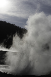 Filename=DSC_1500.jpg
Filesize=17650KiB
Dimensions=4912x7360
Date added=Sep 21, 2019 DSC_1500.jpg