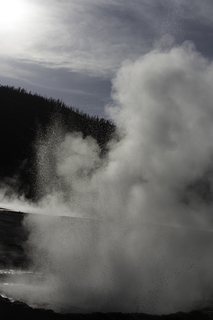 Filename=DSC_1501.jpg
Filesize=18514KiB
Dimensions=4912x7360
Date added=Sep 21, 2019 DSC_1501.jpg