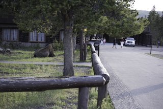 Filename=DSC_1506.jpg
Filesize=19601KiB
Dimensions=7360x4912
Date added=Sep 21, 2019 DSC_1506.jpg