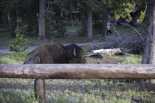 Filename=DSC_1507.jpg
Filesize=21305KiB
Dimensions=7360x4912
Date added=Sep 21, 2019 DSC_1507.jpg