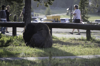 Filename=DSC_1509.jpg
Filesize=24288KiB
Dimensions=7360x4912
Date added=Sep 21, 2019 DSC_1509.jpg