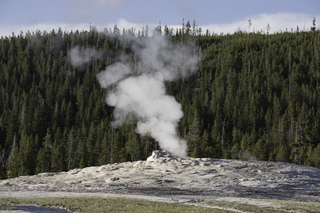 Filename=DSC_1511.jpg
Filesize=25219KiB
Dimensions=7360x4912
Date added=Sep 21, 2019 DSC_1511.jpg