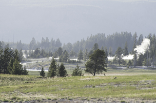 Filename=DSC_1514.jpg
Filesize=21453KiB
Dimensions=7360x4912
Date added=Sep 21, 2019 DSC_1514.jpg