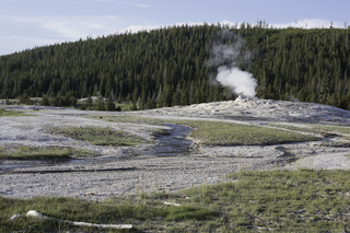 Filename=DSC_1515.jpg
Filesize=26402KiB
Dimensions=7360x4912
Date added=Sep 21, 2019 DSC_1515.jpg