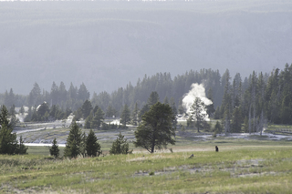 Filename=DSC_1517.jpg
Filesize=22811KiB
Dimensions=7360x4912
Date added=Sep 21, 2019 DSC_1517.jpg