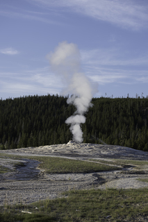 Filename=DSC_1524.jpg
Filesize=17944KiB
Dimensions=4912x7360
Date added=Sep 21, 2019 DSC_1524.jpg