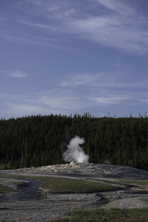 Filename=DSC_1525.jpg
Filesize=17098KiB
Dimensions=4912x7360
Date added=Sep 21, 2019 DSC_1525.jpg