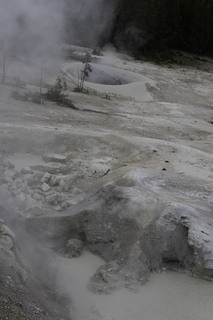 Filename=DSC_1925.jpg
Filesize=17644KiB
Dimensions=4912x7360
Date added=Sep 21, 2019 DSC_1925.jpg