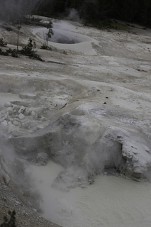 Filename=DSC_1926.jpg
Filesize=18952KiB
Dimensions=4912x7360
Date added=Sep 21, 2019 DSC_1926.jpg