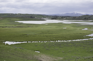 Filename=DSC_1928.jpg
Filesize=22095KiB
Dimensions=7360x4912
Date added=Sep 21, 2019 DSC_1928.jpg