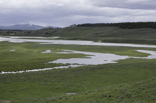 Filename=DSC_1929.jpg
Filesize=19918KiB
Dimensions=7360x4912
Date added=Sep 21, 2019 DSC_1929.jpg