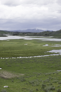 Filename=DSC_1930.jpg
Filesize=17890KiB
Dimensions=4912x7360
Date added=Sep 21, 2019 DSC_1930.jpg