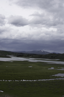 Filename=DSC_1931.jpg
Filesize=15843KiB
Dimensions=4912x7360
Date added=Sep 21, 2019 DSC_1931.jpg